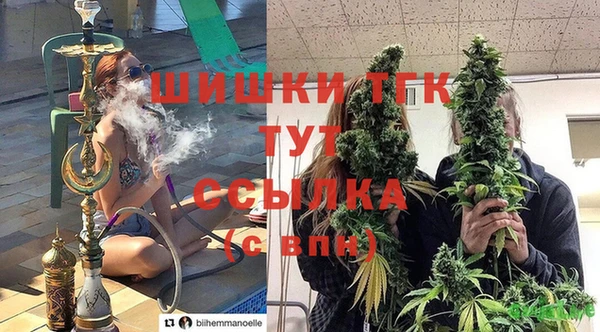 молекула духа Аркадак
