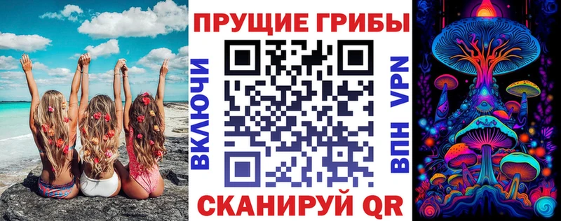 Псилоцибиновые грибы Psilocybe  Куса 